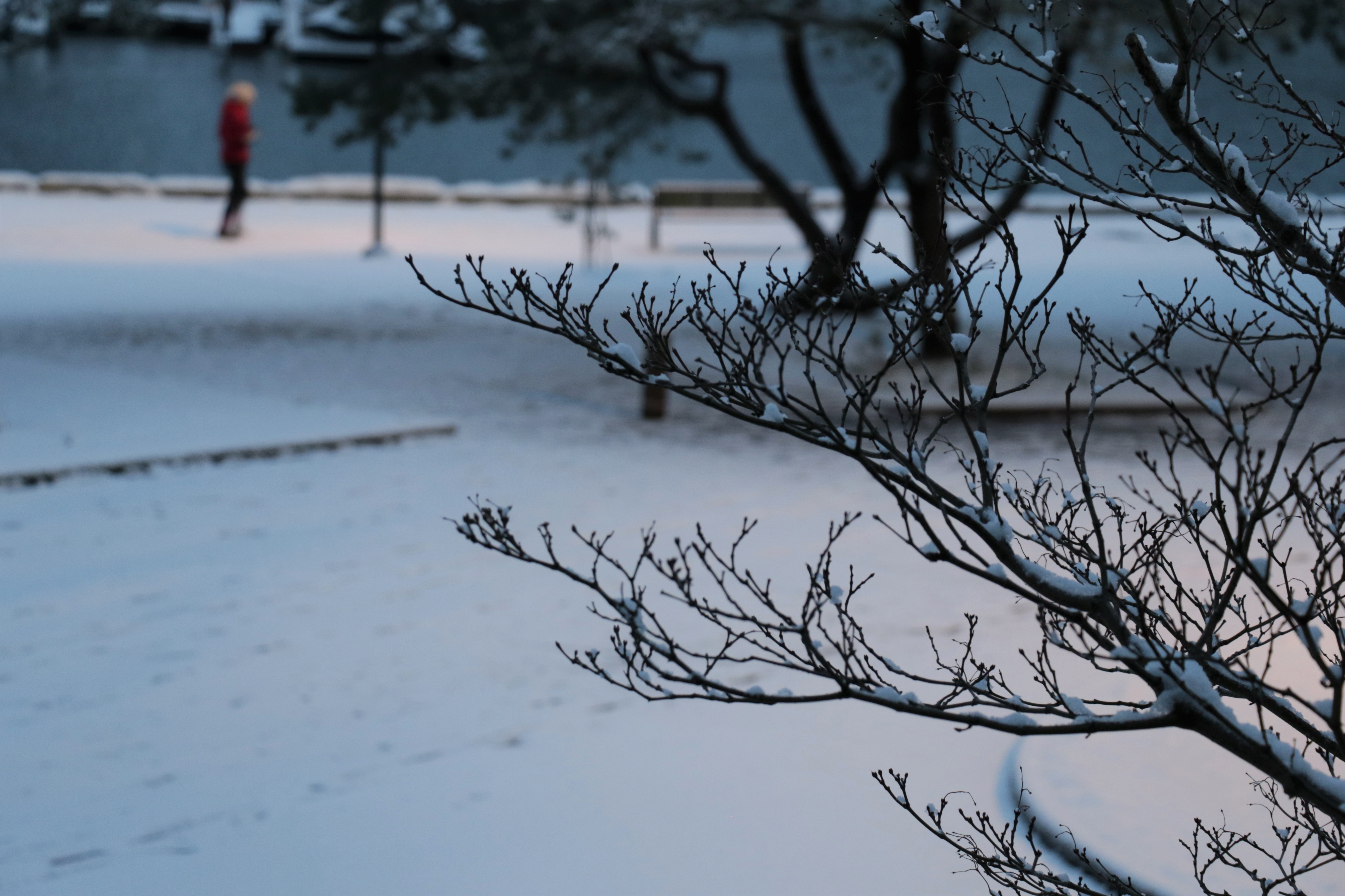 Snow